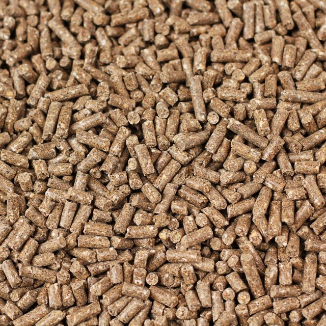 pellets